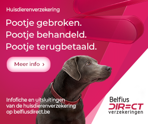 Belfius Direct Verzekeringen