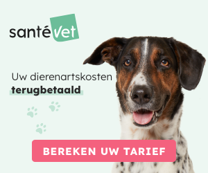 Dierenverzekeringen SantéVet Hond